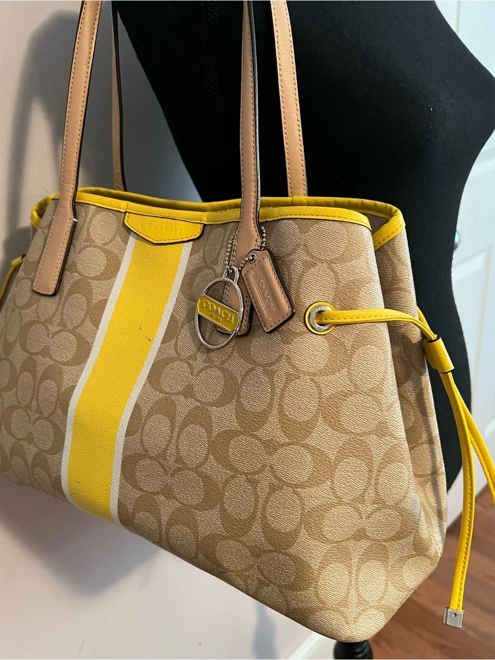 Coach Signature Stripe Drawstring Carryall Leather Shoulder Bag